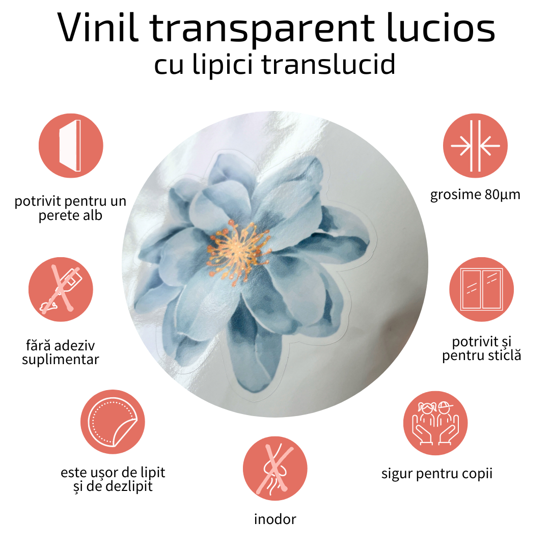 Transparentný vinyl RO